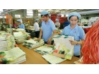 Việt Nam cấm sản xuất túi nilon khó phân hủy
